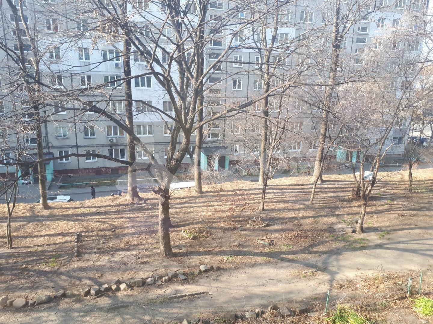 Фотография объекта