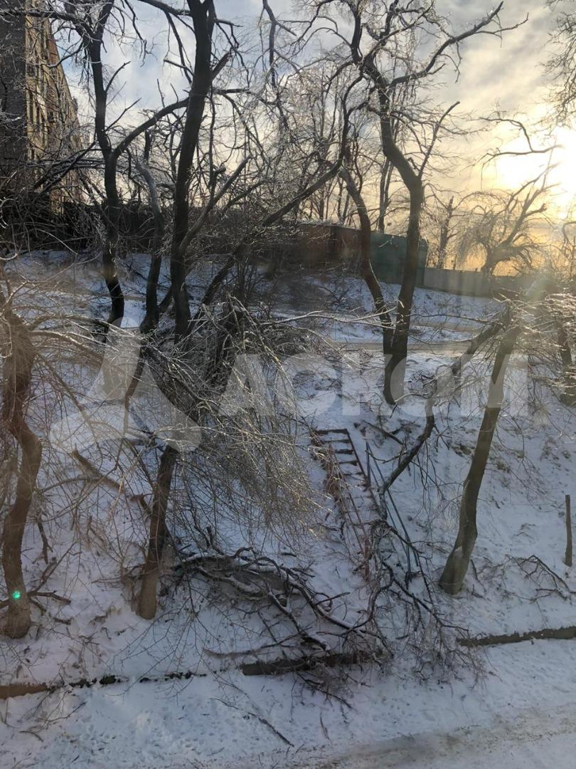 Фотография объекта