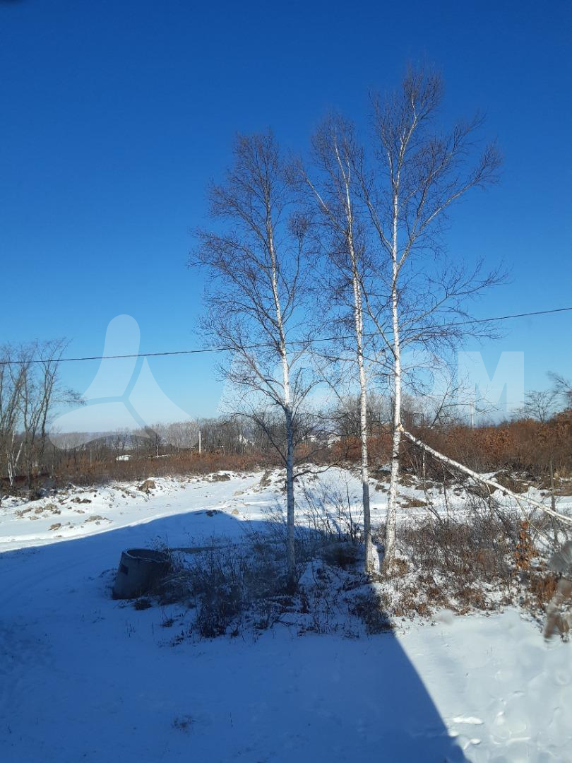 Фотография объекта