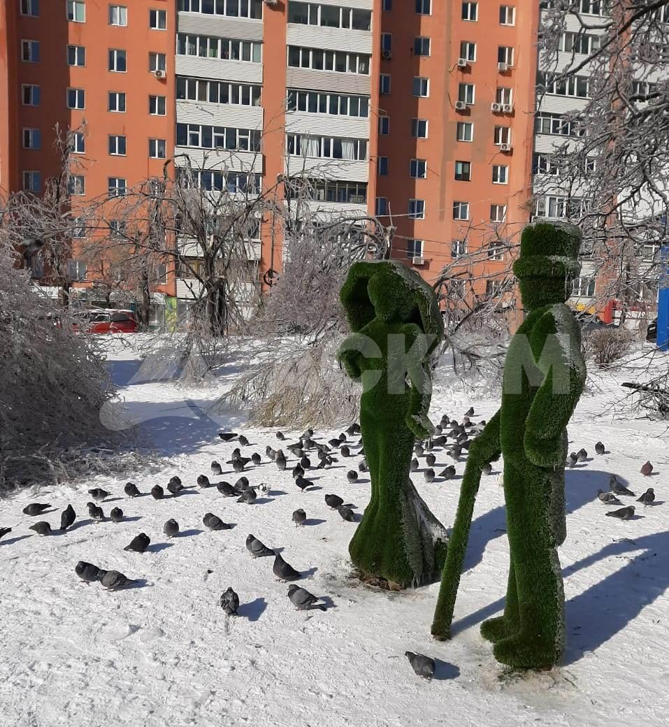 Фотография объекта