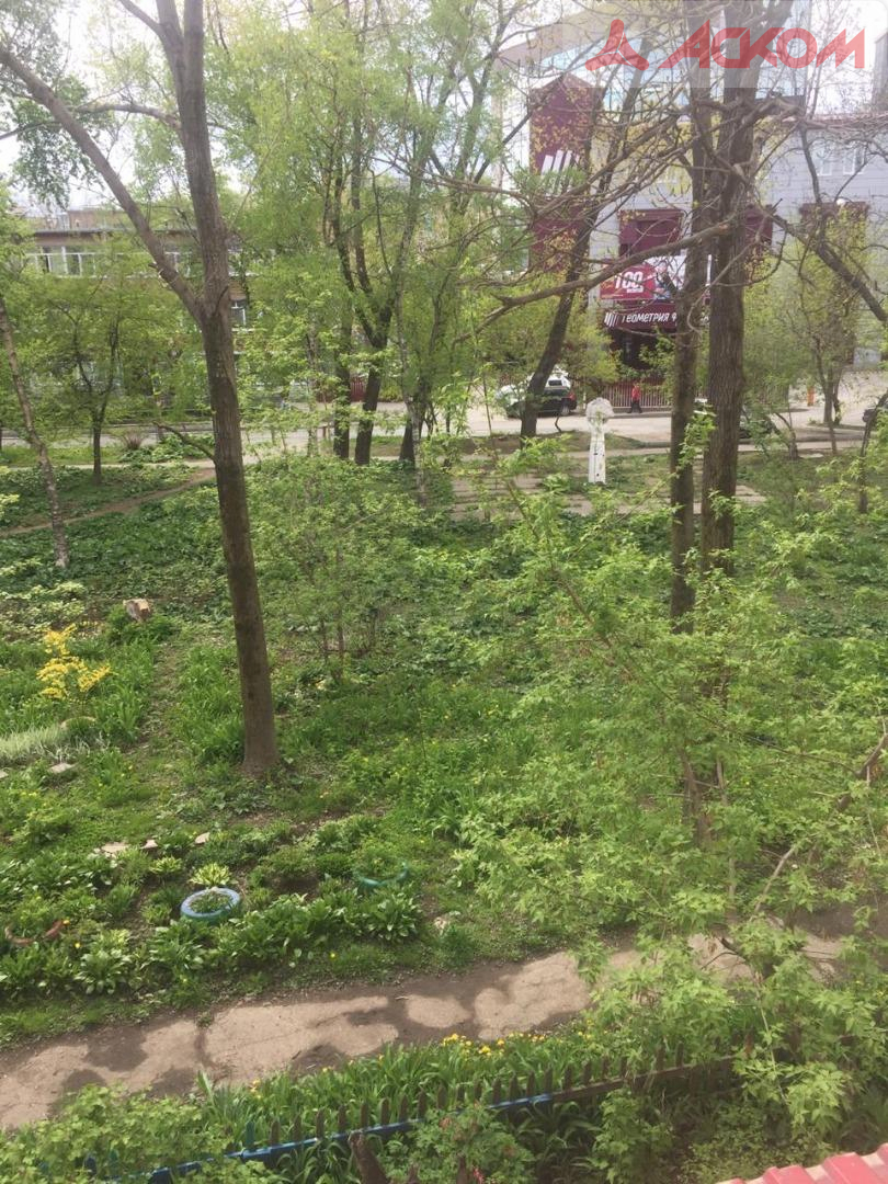 Фотография объекта